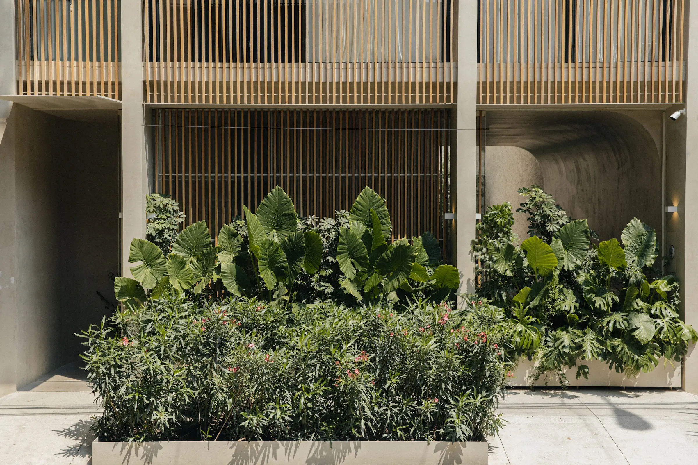 Casa Octavia boutique hotel facade with teak lattice screens in La Condesa, Mexico City