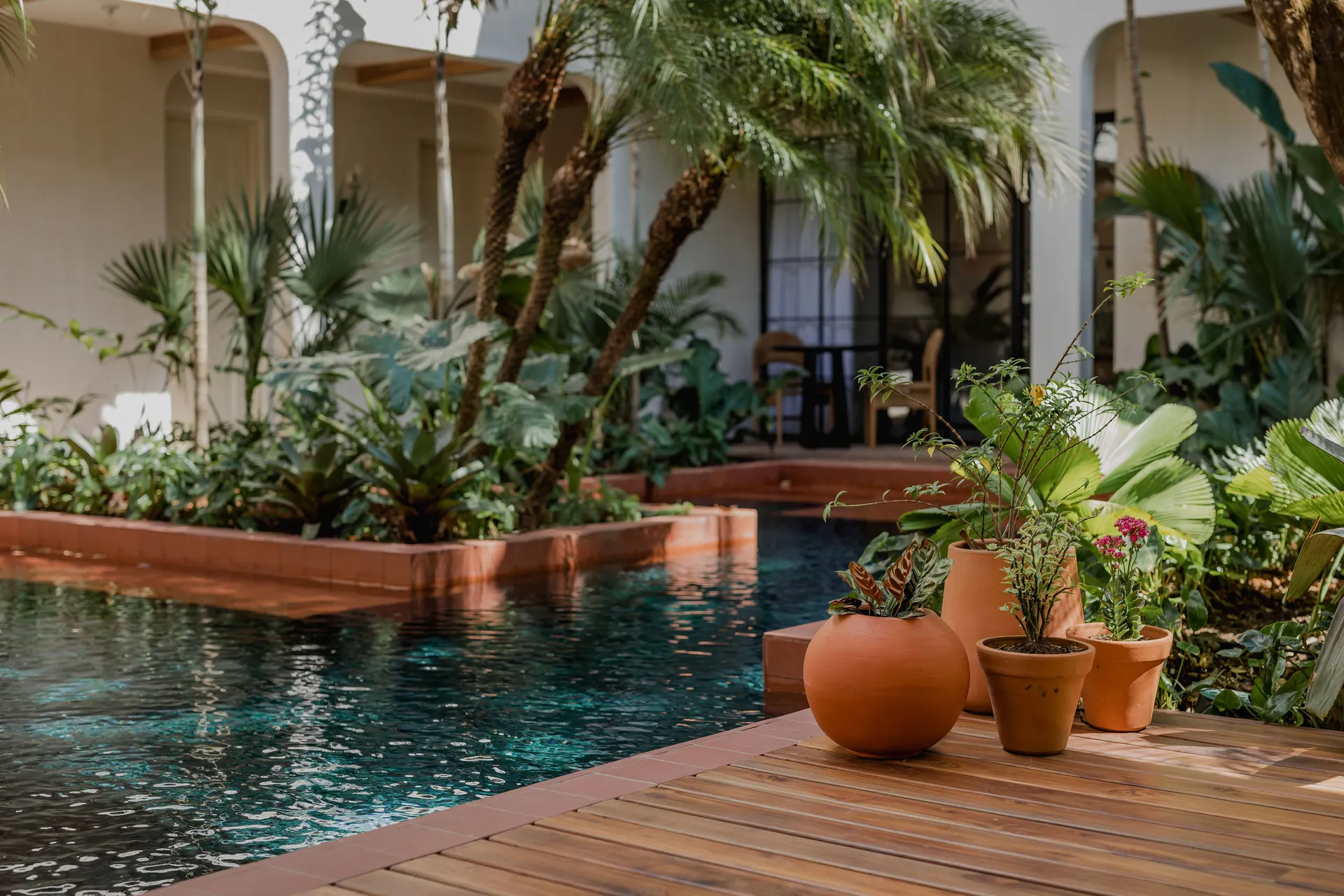 Saltwater infinity pool surrounded by tropical vegetation at Sendero Hotel