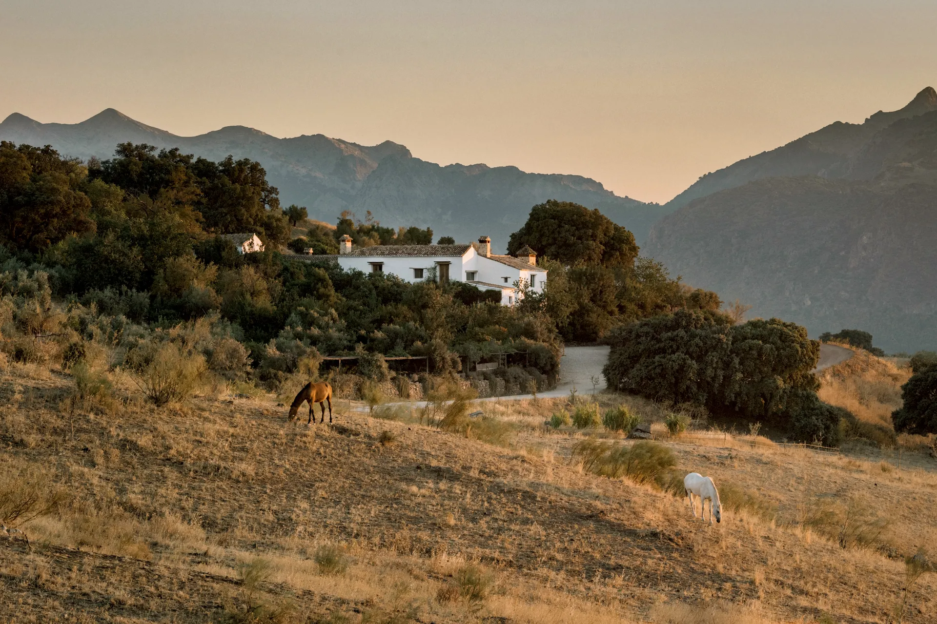 Aerial view of La Donaira’s eco-luxury estate surrounded by Andalusian hills and organic farmland.