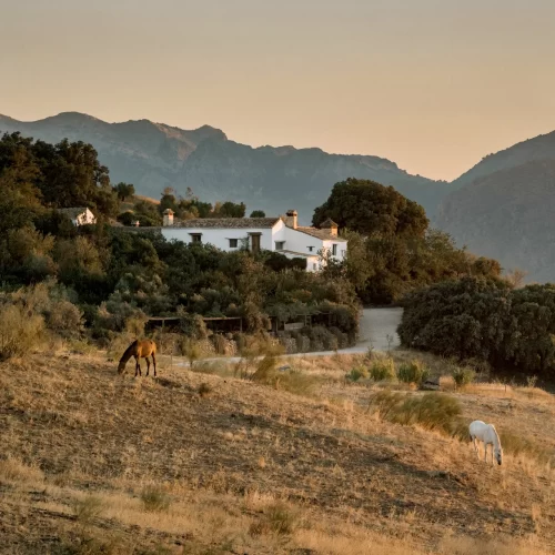 Aerial view of La Donaira’s eco-luxury estate surrounded by Andalusian hills and organic farmland.