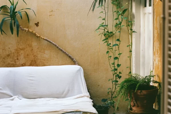 © Eftihia Stefanidi