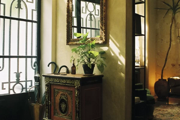 © Tristan Hollingsworth