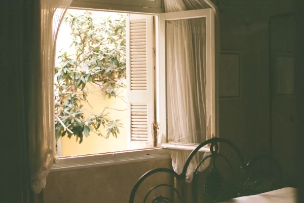 © Eftihia Stefanidi, Artwork by Alexandria Coe