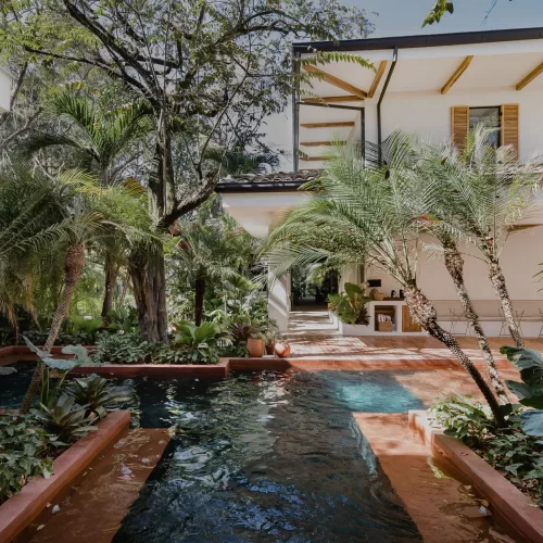 Saltwater infinity pool surrounded by tropical vegetation at Sendero Hotel