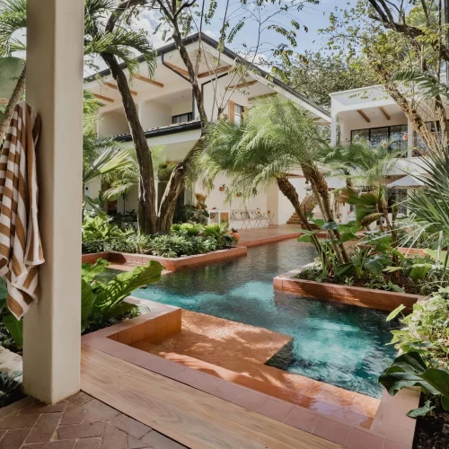 Saltwater infinity pool surrounded by tropical vegetation at Sendero Hotel