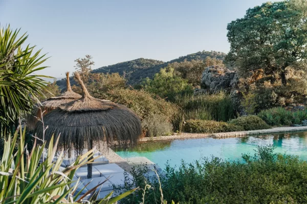 Tranquil outdoor saltwater pool at La Donaira’s hillside spa overlooking the Andalusian countryside.