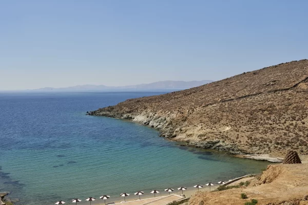 drz_odera_147727_result