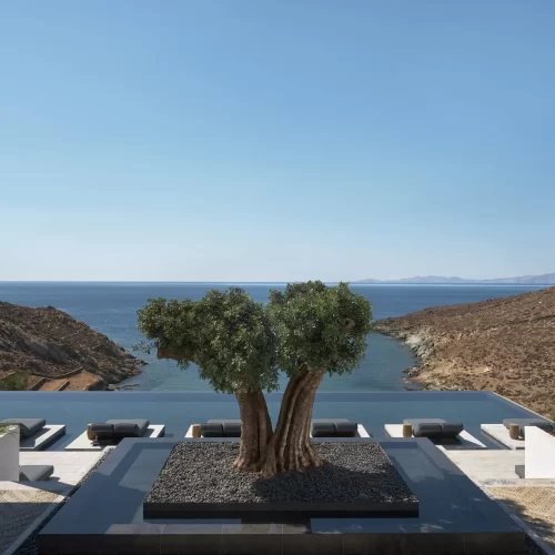 drz_odera_148114_result